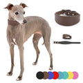 Rustic Leather Whippet Wide Italian Greyhound 3D Dog Collar Vintage Collars for Snapdogs MegaBDM