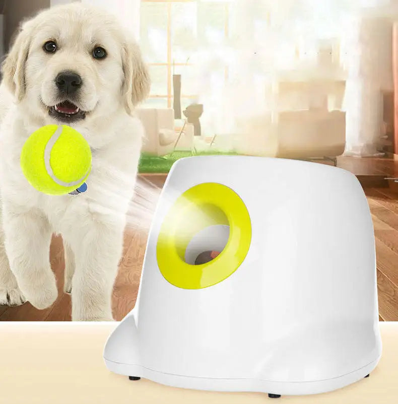 Automatic Plastic Tennis Ball Launcher Machine for Dogs Outdoor Training with Three Balls