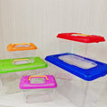 New Arrival Plastic Terrarium Tarantula Enclosure Small Hatching Container Transparent Fish Tank Turtle Aquarium for Shrimp
