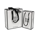 Accept Different Size Shopping Paper Gift Bag with Tissue Paper
