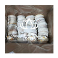 Authentic Ocean Seashells from Vietnam / Great for Interior Design Beach Decor & Gift Sets