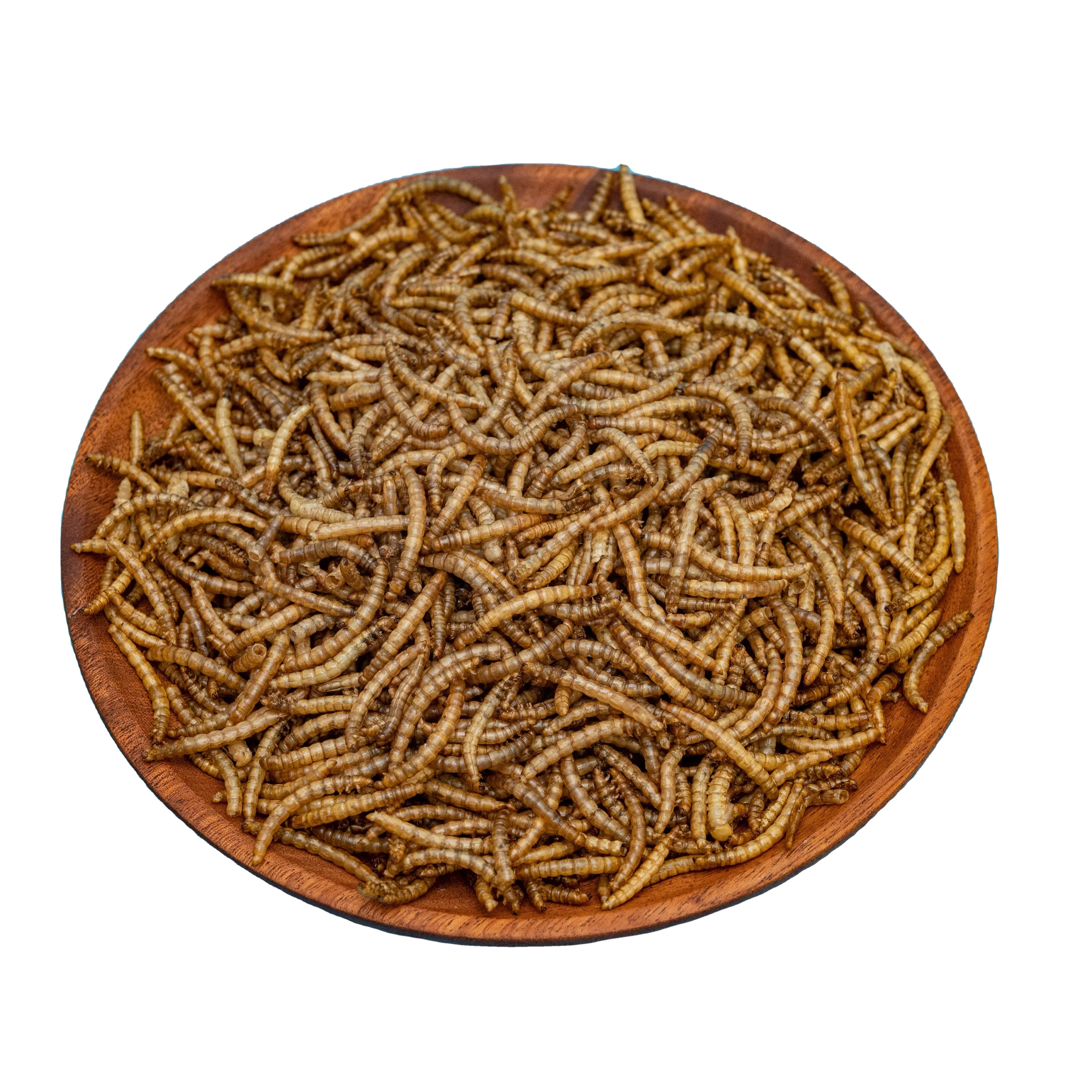 Functionality Natural Dried Mealworms Special Animal Feed for Bird