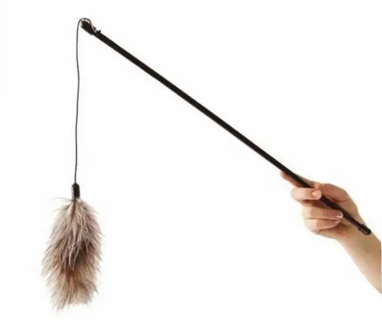 Royal Blue Retractable Funny Pet Toys Wood Stick Rod fairy Interactive Teaser Wand Indoor Chicken Feather Toy for Cat Game