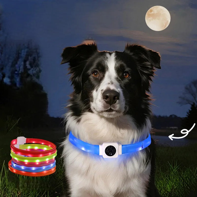 USB Rechargeable Silicone LED Light Simple Dog Collar Water Resistant Reflective Flashing Anti-Lost Adjustable Luminous
