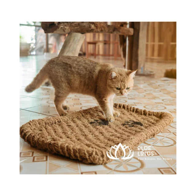 Product High-Quality COIR MAT for PET Coconut Fiber From Vietnam - Comfortable Durable and Cost-Effective Customize Sky Pham