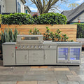 Hot Selling Custom Color Premium Portable Outdoor BBQ Gas Grill Stainless Steel Smart Design Adjustable Height Powder Coated