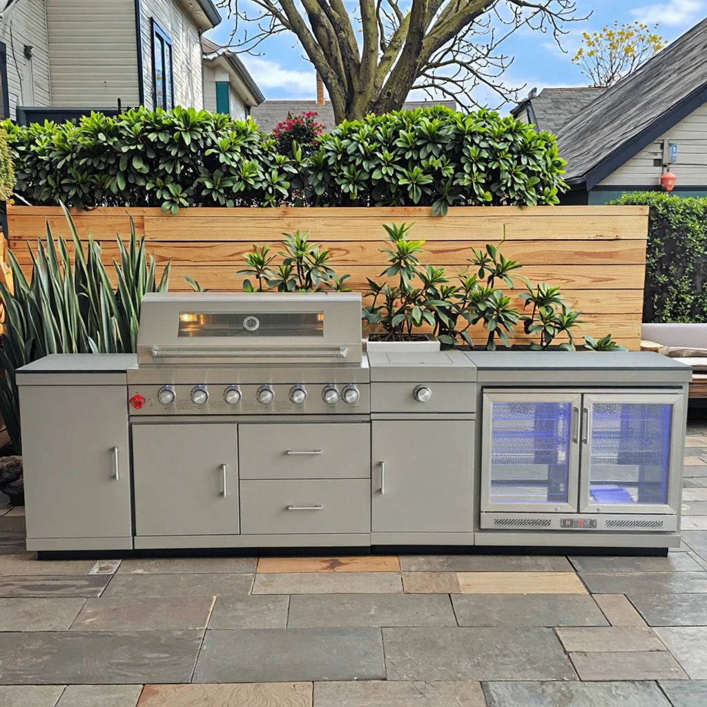 Hot Selling Custom Color Premium Portable Outdoor BBQ Gas Grill Stainless Steel Smart Design Adjustable Height Powder Coated