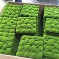QSLH-T108 Artificial Moss Panel with Special Design for Grass Natural Wall Design