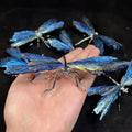 Handmade High Quality Natural Crystal Dragonfly Black Kyanite Angel Aura Feng Shui Carved Home Decor Healing Spiritual Gifts
