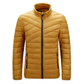 High Quality Ultra Light Men's Stand Collar Hooded Waterproof Windproof Puffer Jacket Customizable Outdoor Sports Coat