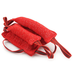 Durable Bite Resistant Dog Tug Toy with Handle | Stuffed Interactive Pillow for Chewing & Tugging Games