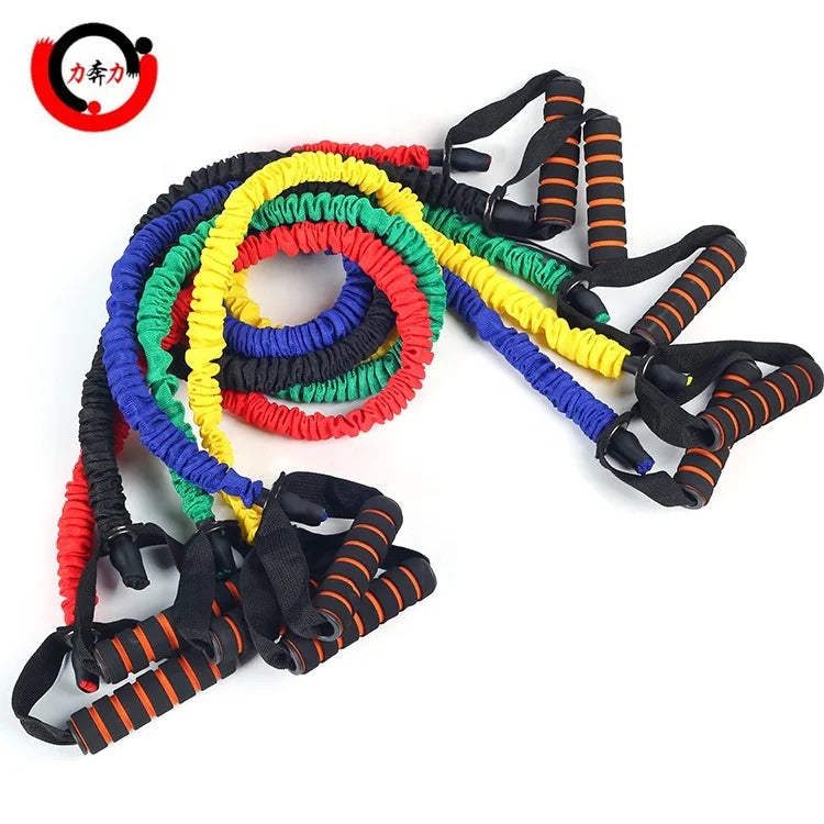 Resistance Bands Exercise Elastic Bands Set Resistance Tubes with Heavy Duty Protective Nylon Sleeves Anti-Snap for Fitness