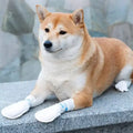 Dogs Go Out Classic Disposable Socks & Shoes Waterproof Eco-Friendly Dirt-proof Soft Comfortable for Outdoor Use