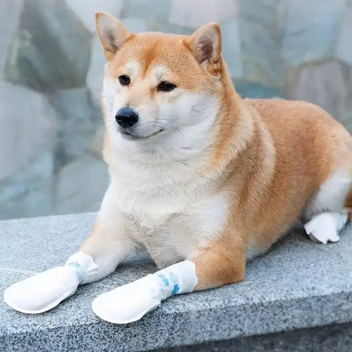Dogs Go Out Classic Disposable Socks & Shoes Waterproof Eco-Friendly Dirt-proof Soft Comfortable for Outdoor Use