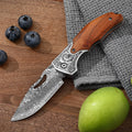 Best-selling Damascus Stainless Steel Multi-purpose Folding Fruit Knife for Cats with Sharp Edge MegaBDM