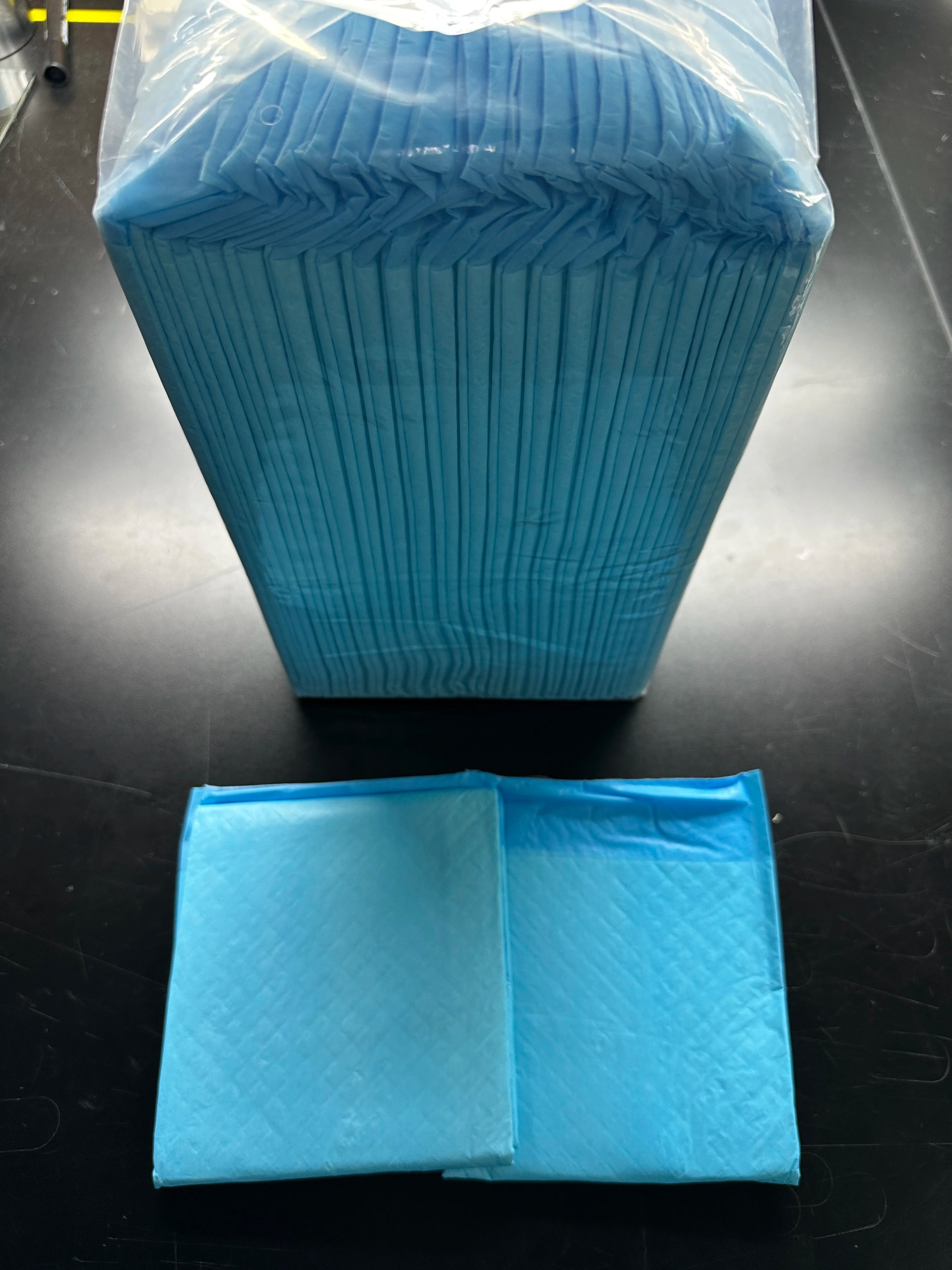 SAP Pet Dog Pee Pad for Potty Urine Training Super Absorbency Disposable Underpads