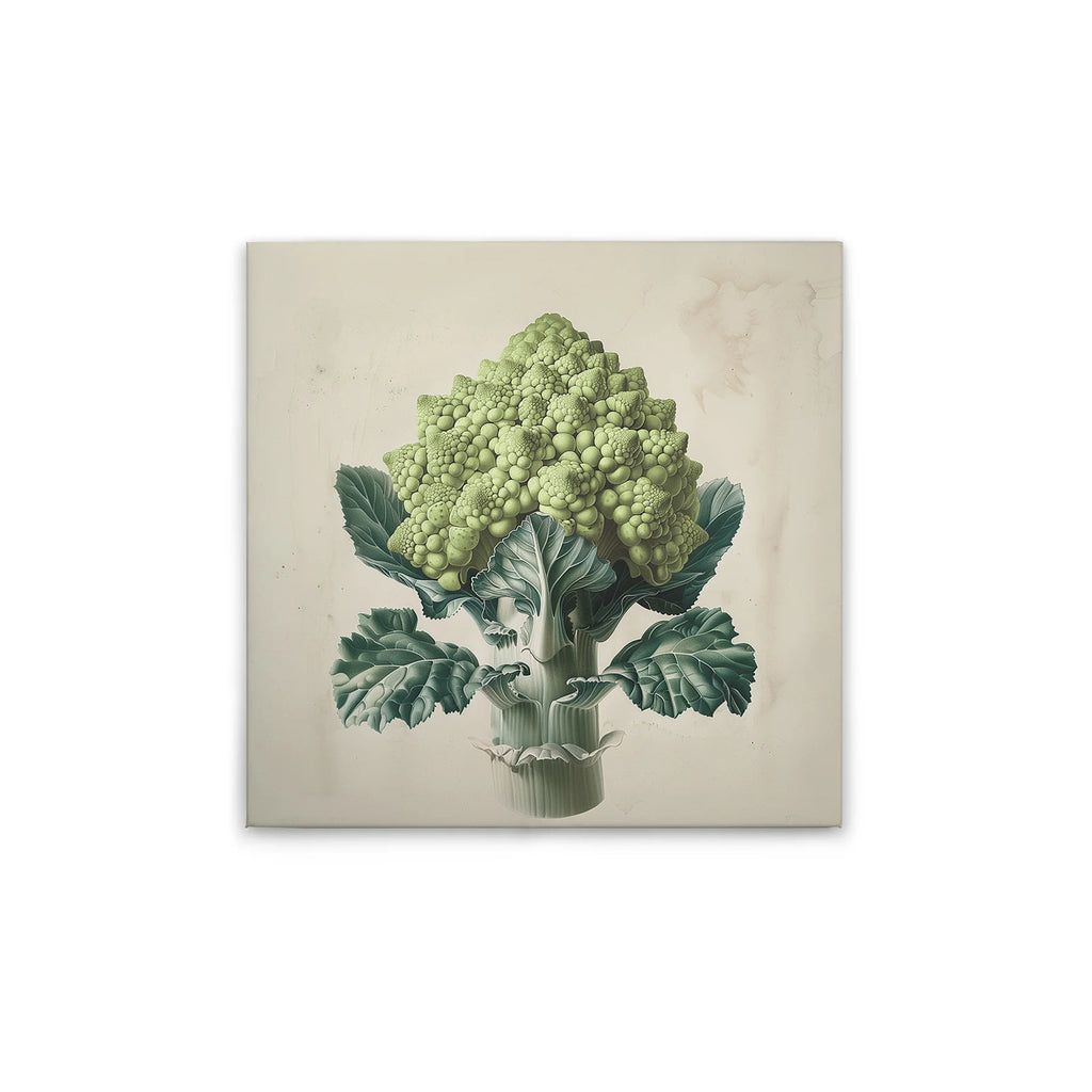 Made In Germany - Home Decor Canvas Picture Romanesco Kitchen Motif - Wall Mural In Cream And Beige - Stretcher Frame Art