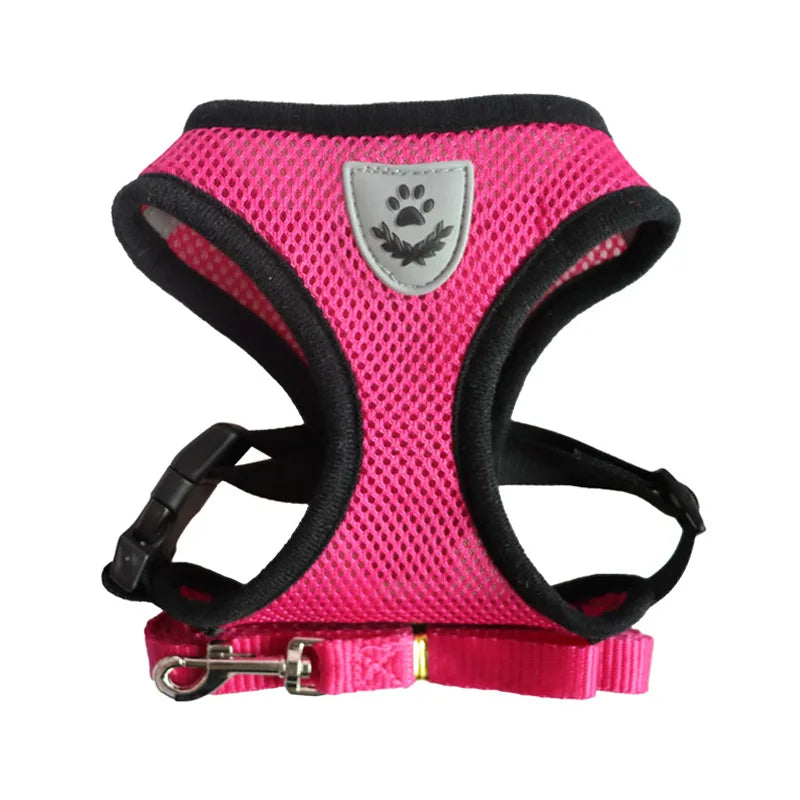 2025 Luxury Designer Custom Print Logo Pet Cat Dog Harness Leash Solid Pattern Nylon Collar Set Simple Fashionable No Pull Style