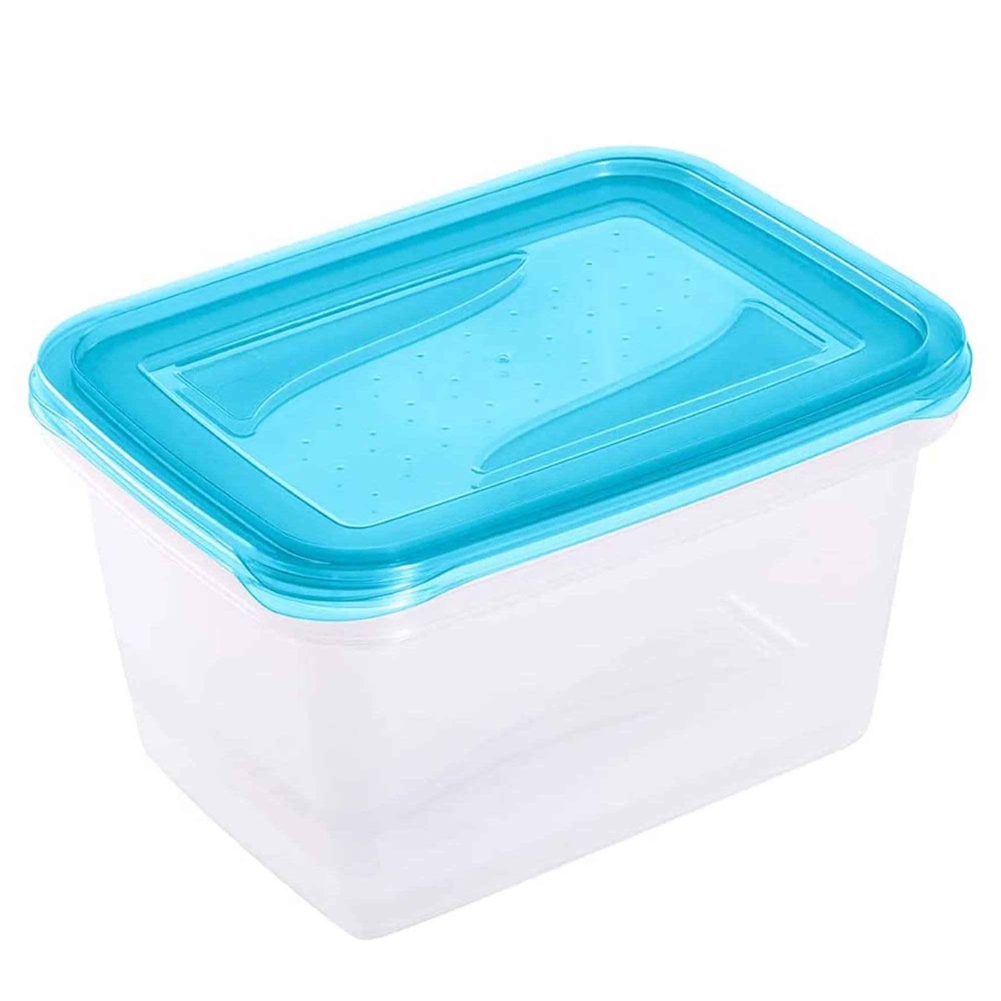 Set of 2 Lunch Boxes 2 x 2 l 20.5 x 15.5 x 10.5 cm Fredo Fresh Transparent blue