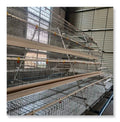 5000 Birds Automatic Poultry Farm Design Battery Egg Layer Hen Cage with Long Service Life