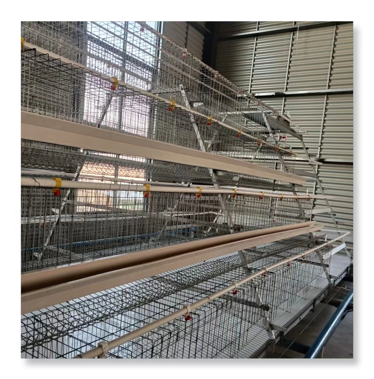 5000 Birds Automatic Poultry Farm Design Battery Egg Layer Hen Cage with Long Service Life