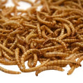 100% Natural Animal Protein Dried Bread Mealworm Premium Dry Food for Fish High-Protein Grain-Free