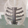 Titanium 3D Printing | 3D Printing Technology