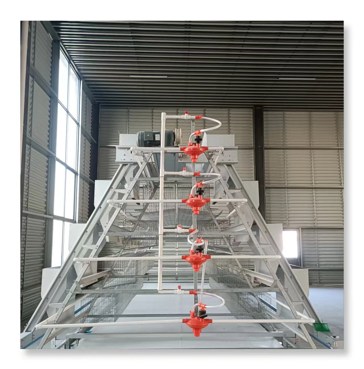 New MT A-Type Layer Chicken Cage Water System with Hot Dip Galvanized Steel for 10000 Birds Poultry Farm Design Layout in Ghana