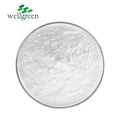 Wellgreen Main Amino Acid Bulk Nutrition Supplement Additives L Arginine L-Arginine Powder