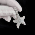 Aimgal Customized Men's Necklace Fashion Jewelry 5A Zircon HIPHOP Starfish Pendant Brass & Moissanite for Children