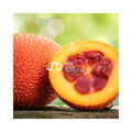 Frozen Gac Fruit-High Lycopene Content-Ready to Ship