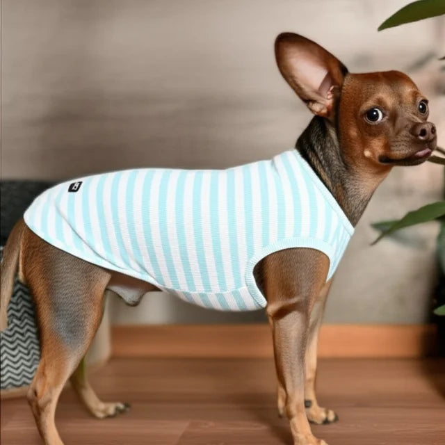 OEM Lightweight Striped Dog T-Shirt Modern Pet Apparel Comfortable Spring/Summer Wear Cotton-Polyester Material Wholesale Turkey