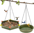Pioneera Eco-friendly Plastic 2-in-1 Wall Mount Bird Bath & Feeder for Outdoor Use (Green)