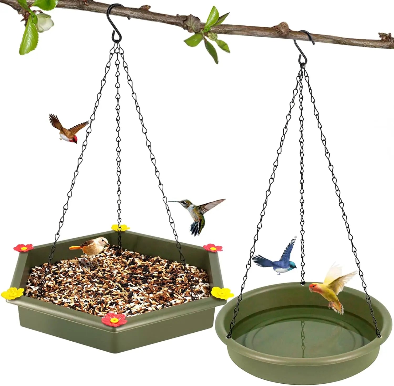 Pioneera Eco-friendly Plastic 2-in-1 Wall Mount Bird Bath & Feeder for Outdoor Use (Green)