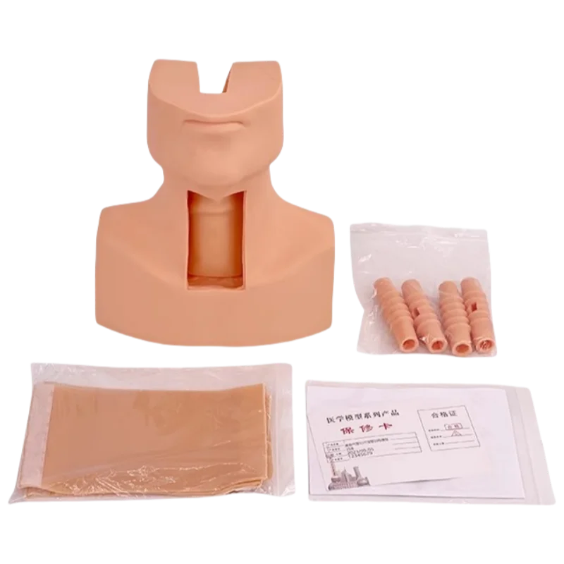 Ciiizaoo Medical Training Advanced Tracheotomy Intubation Training Model PVC Material