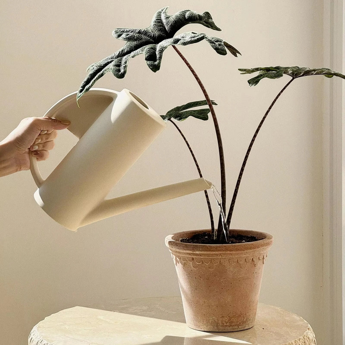 Nordic Handmade 1.5L Ceramic Watering Can with Long Spout | Artistic Indoor Plant Watering Pot for Home Garden Décor MegaBDM