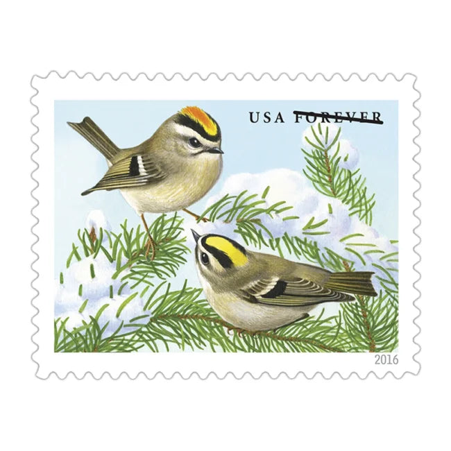 Usa First Class Forever Postage Mailing Stamps Sticker American Stamps Us Postal Mail Stamps Charms for Scrapbooking Phone Case
