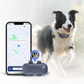 2025 Hot GPS Pet Tracker with Real-Time Tracking Health Monitor Light & Voice Search 4G Network BEIDOU GLONASS LBS Positioning