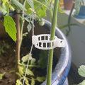 24 mm Garden Plastic Vine Plant Support Tomato Trellising Grafting Clips Plastic Tomato Clips