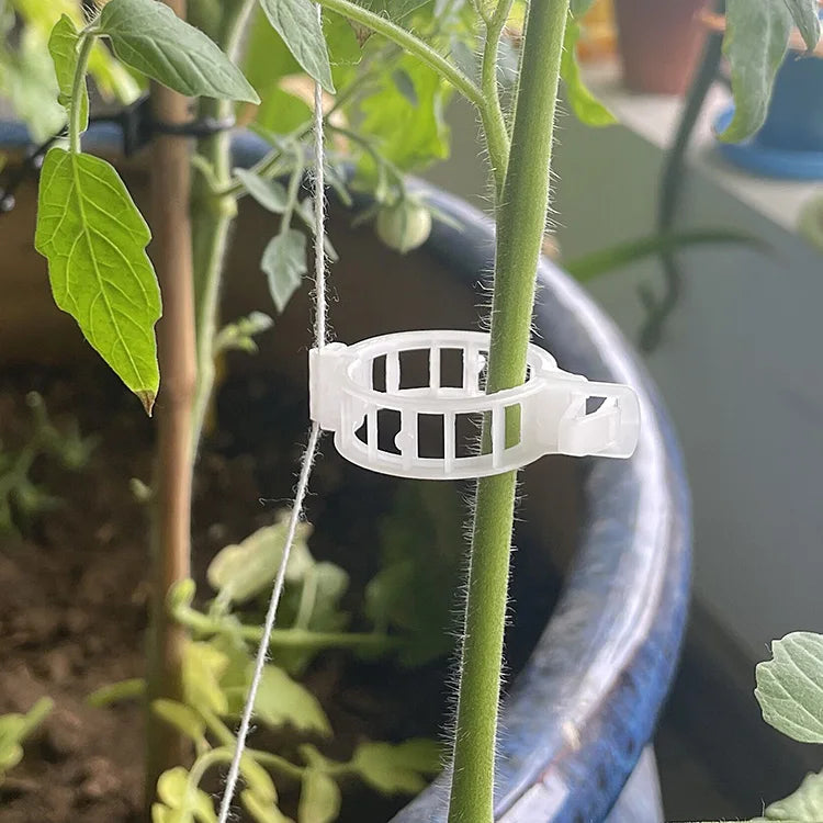 24 mm Garden Plastic Vine Plant Support Tomato Trellising Grafting Clips Plastic Tomato Clips