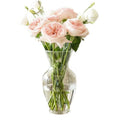 Wholesale Hand Blown Transparent Glass Vase Container for Flower MegaBDM