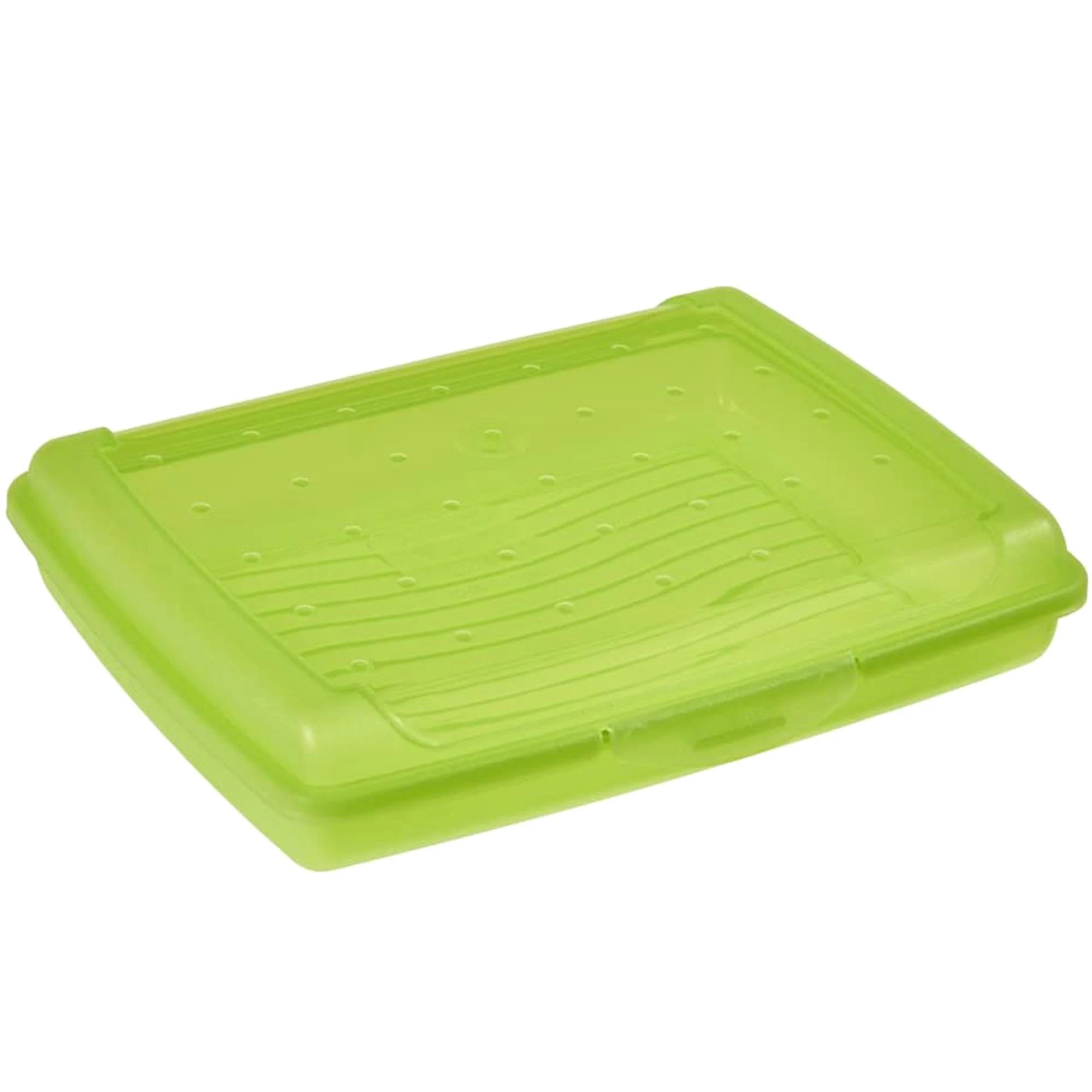 Lunch Box PP Green Mini (500 ml) 17x13x3.5 cm
