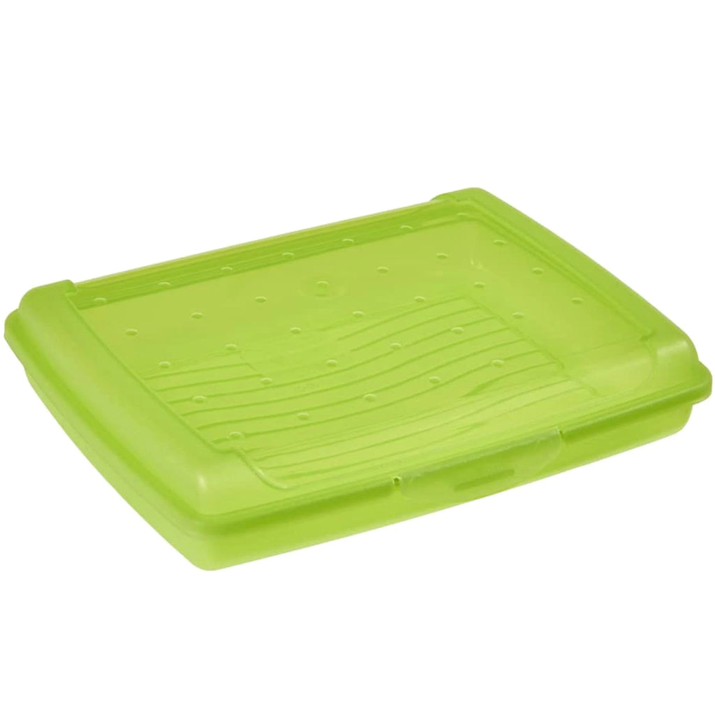 Lunch Box PP Green Mini (500 ml) 17x13x3.5 cm