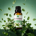 OEM ODM Premium Pure Peppermint Essential Oil 30ml Natural Plant Extract for Aromatherapy Massage Skin Care Spa DIY Applications MegaBDM