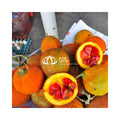 BEST SELLER Frozen Gac Pulp-Supply All Year Round
