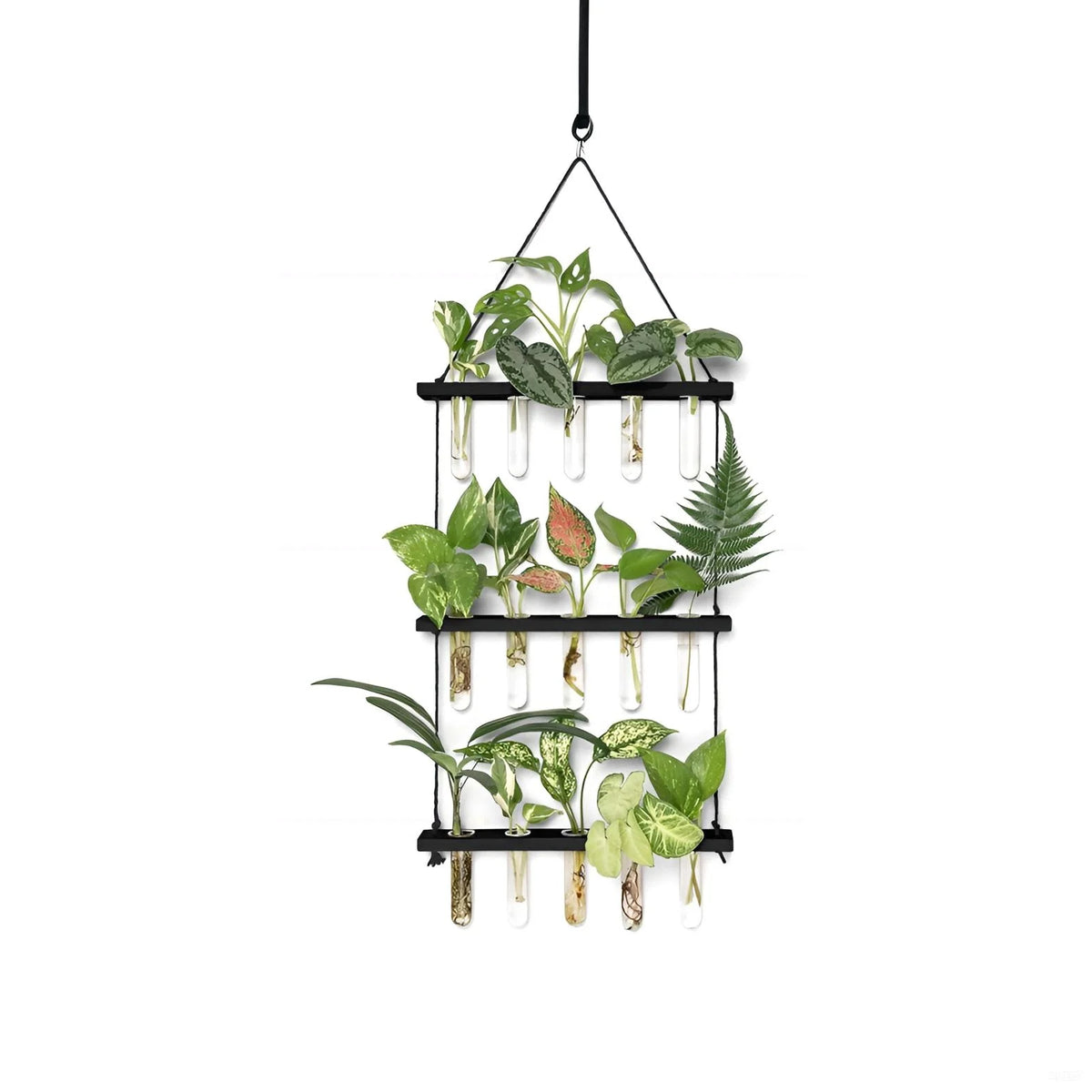 3-Tier Wall Hanging Glass Terrarium Wooden Stand Mini Test Tube Planter for Hydroponic Cuttings Home Office Flower Pots Planters MegaBDM