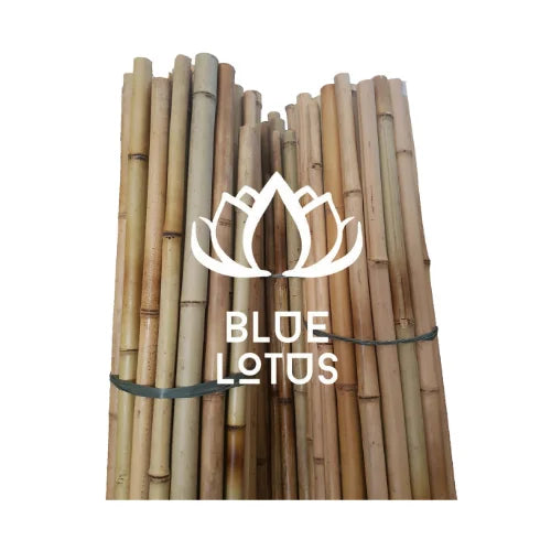 Premium Bamboo Poles for Stylish Outdoor Design Patio Decor and Plant Trellis BLUE LOTUS Vietnam