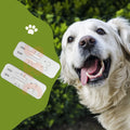 Lepto Ab Qualitative Detection Canine Leptospira Antibody Rapid Test Kit for Dog Veterinary Diagnostic Equipment