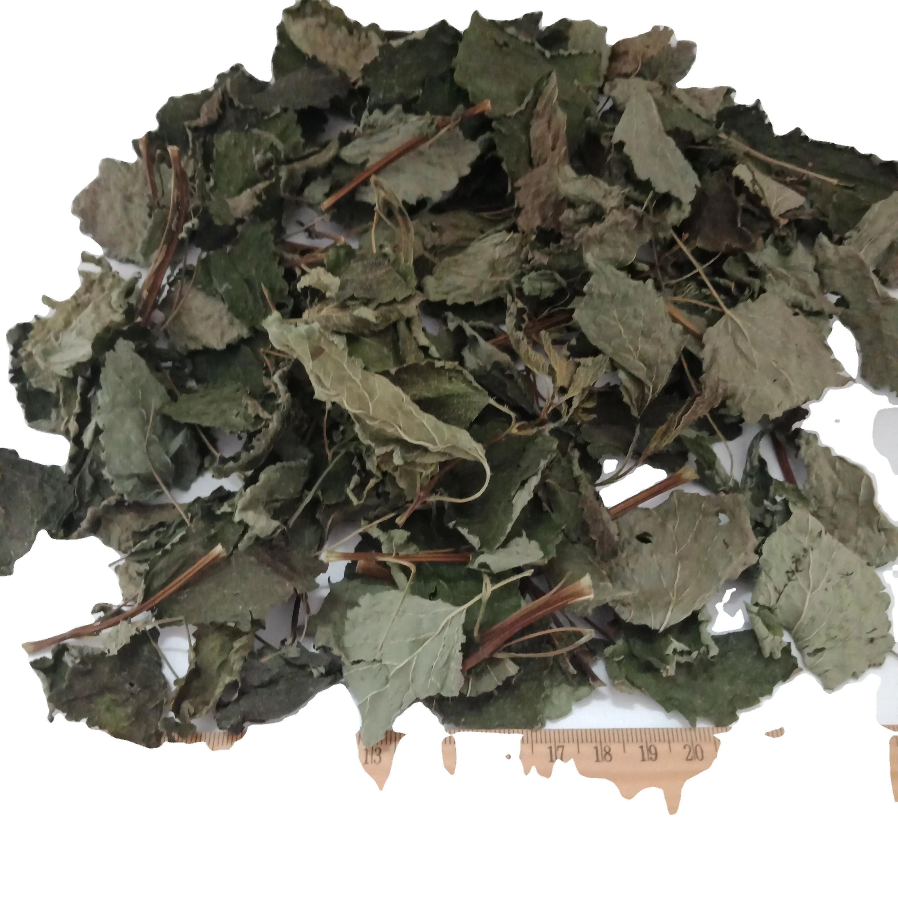 4034 Popular Natural Growing Melissa Lemon Balm Lemon Mint for Tea