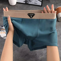 Men's Cooling Summer Ice Silk Boxer Briefs Breathable Knitted Summer Underwear with Mid-rise Logo on Waist for Home and Beach